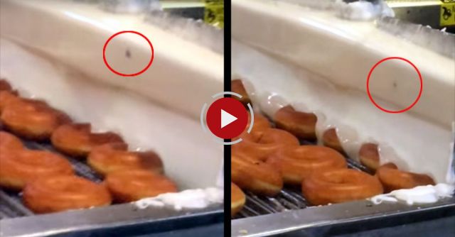 The Horrors Of Krispy Kreme Doughnuts In High Point North Carolina