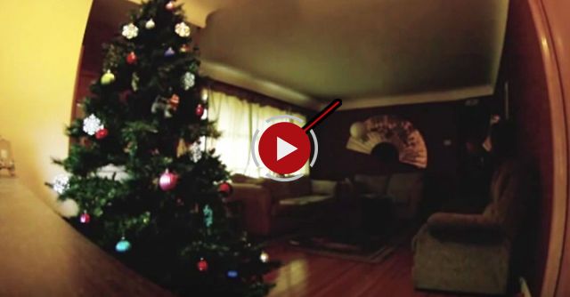 Suzy The Beagle Plays With Christmas Ornaments
