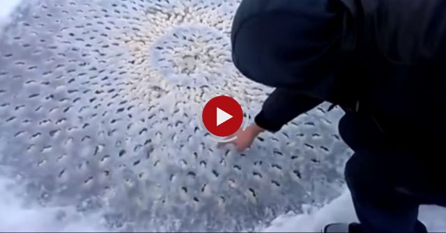 Weird Lake Object - What Is This Thing?