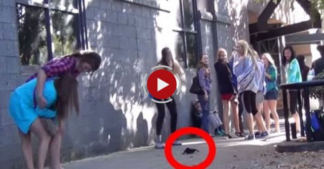 Big Spider Attack In The City Prank