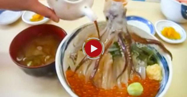 Dancing Zombie Squid!