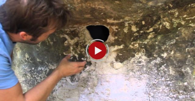 Crazy Scary Spider Hole