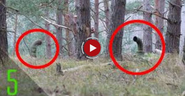 5 Creepiest Things Found In The Woods