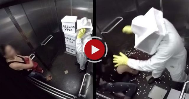 Bees In The Elevator Prank