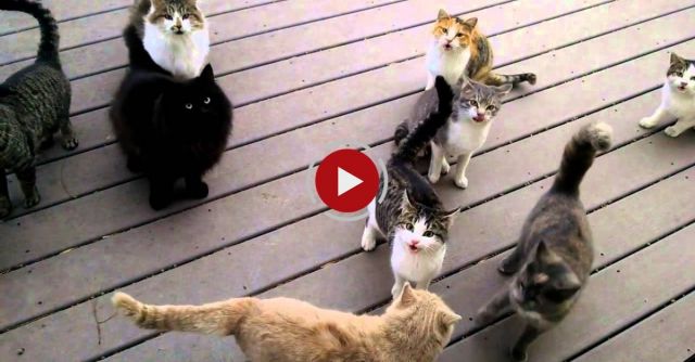 Every Day. Every. Darn. Day.