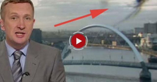 'Giant' Spider Photobombs BBC Scotland News - BBC News
