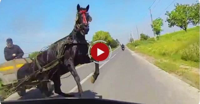 Motocyclists Misses Horse 