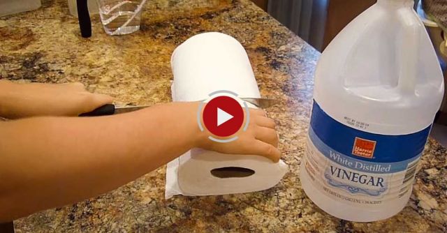 DIY KITCHEN WIPES | How To Keep A Clean Kitchen!