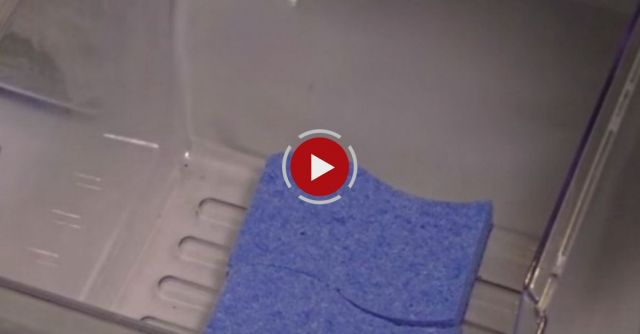 Quick & Simple Life Hacks #11