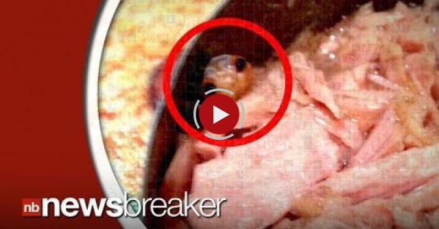 Mom Finds Disgusting Sea Creature In Tuna Can She Was About To Serve To Kids