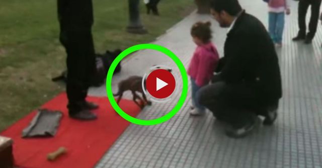 Dog Puppeteer In Recoleta