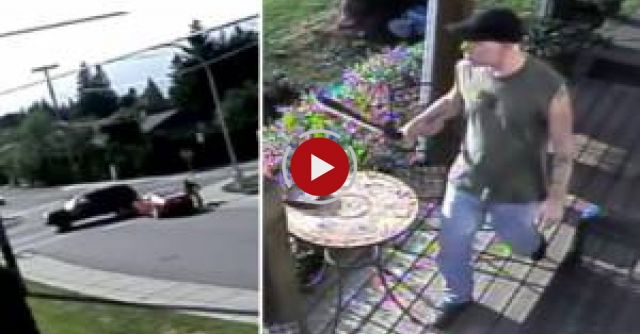 A Look Back At 2015 In Chilliwack BC