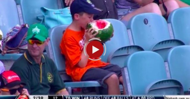 Boy Eats Whole Watermelon At A Cricket Game
