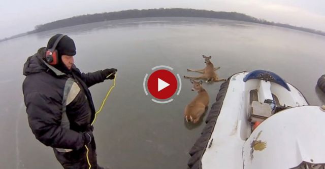 GoPro: Hovercraft Deer Rescue