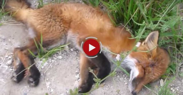 Tammy And Todd Miracle