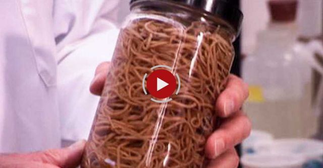 Monsters Inside Me: Toddler Under Attack