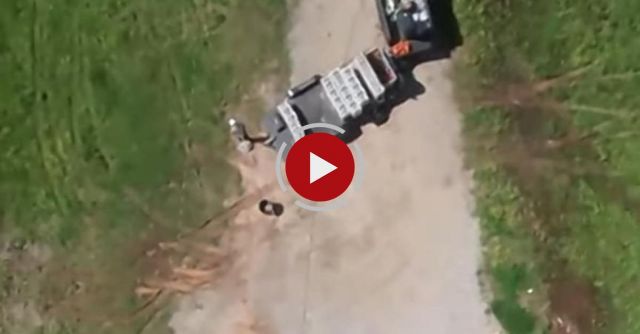 Cell Tower Pizza Delivery