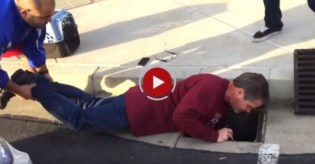 Kitten Trapped In Storm Drain Rescued After 33 Hours!