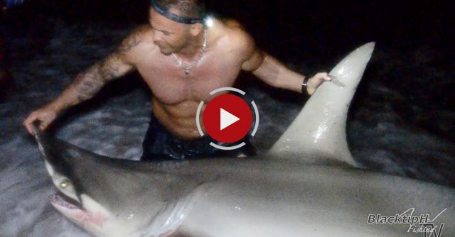 Extreme Beach Shark Fishing!
