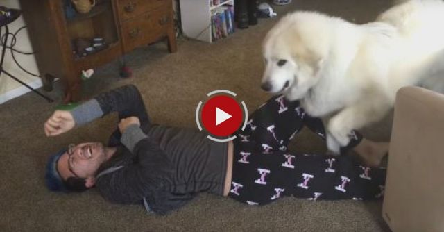 Playing Dead With PUPPIES!!