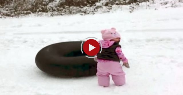 Dog Slides Across The Snow