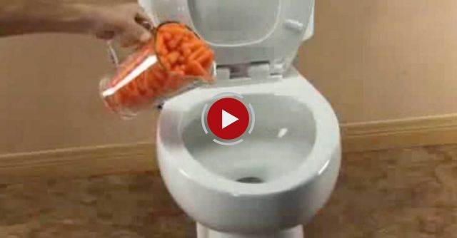 Super Toilet Can Flush Anything