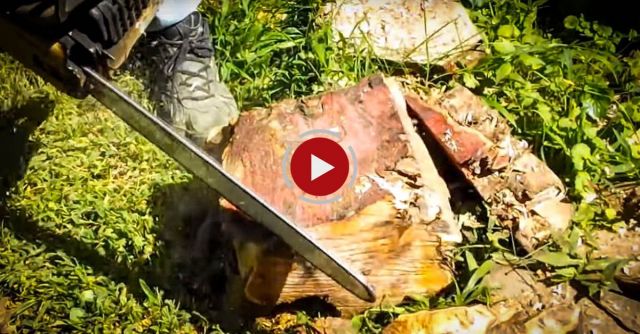 Craftsman Makes A Wooden Bowl Out Of A Block Of Firewood