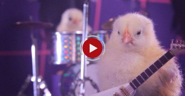 Happy Easter 'Rock Chicks'