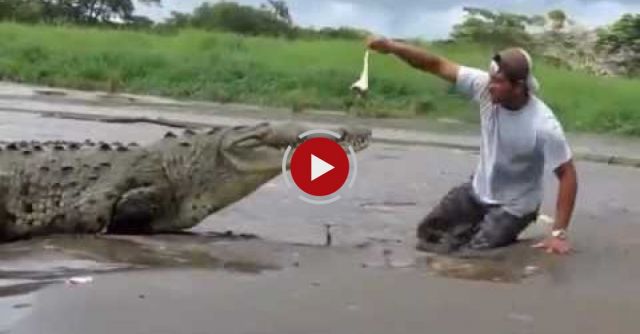 Man Almost Gets Attacked By Crocodile