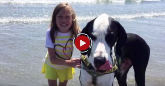 Bella And Her Great Dane George