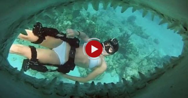 GoPro: Director's Cut - Shark Riders