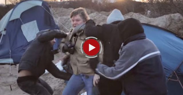 CalaisJungle January 15 2016