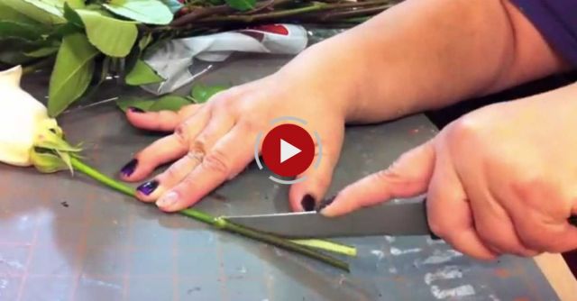 HOW TO: Tie Dye Roses - DIY Rainbow Roses And Flowers