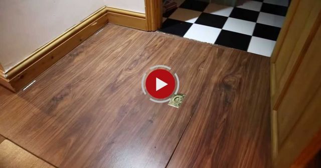 Moved Into A New Apartment