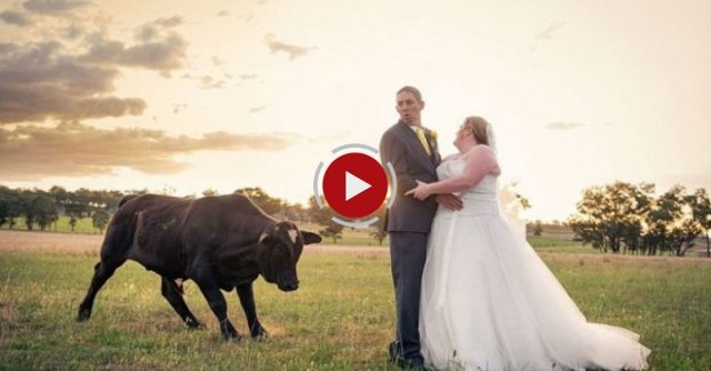 Best Wedding Fails Of 2014
