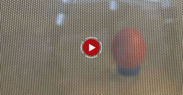 What Will Happen If You Microwave An Egg