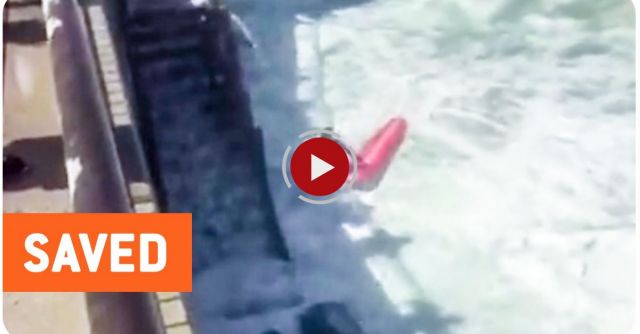 Surfer Saved From Huge Waves