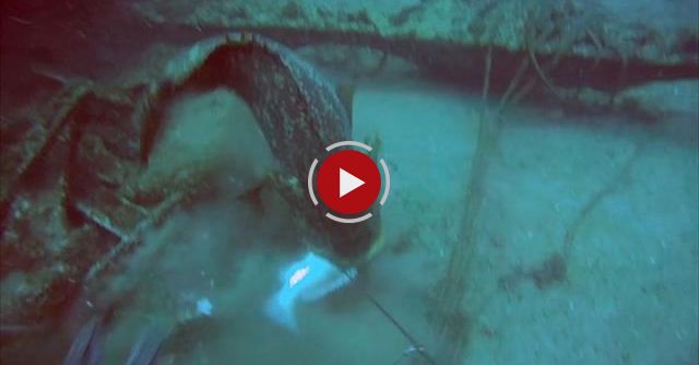Spear Fisherman Dragged By Goliath Grouper
