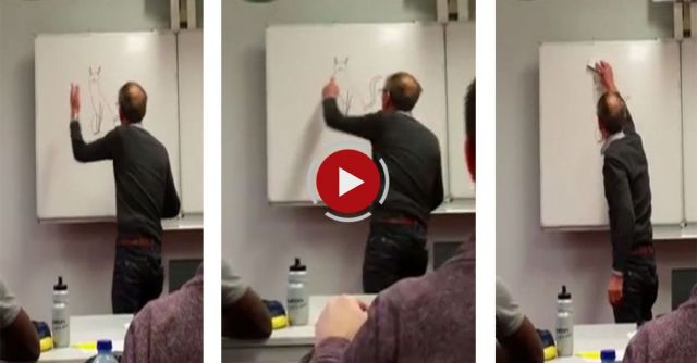 Teacher Finds A Cat Drawn On His Whiteboard
