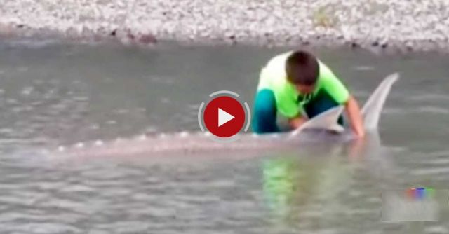9-year-old U.S. Boy Lands Giant Sturgeon During B.C. Trip