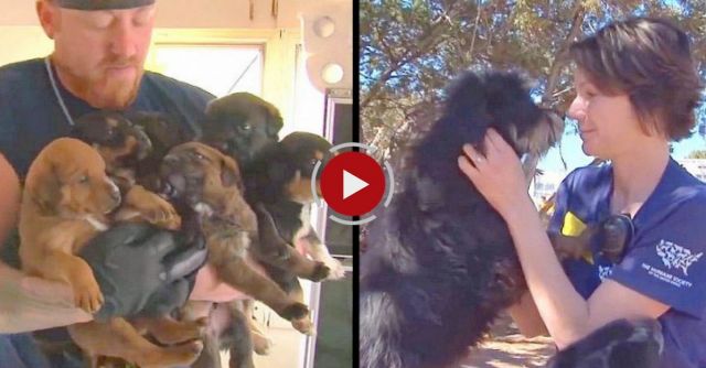 Animal Rescue Team Rescues Hundreds