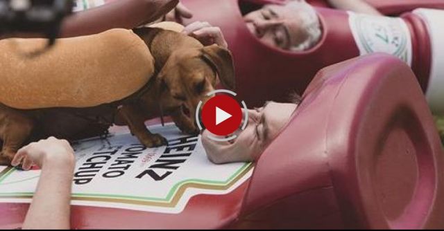 HEINZ Ketchup Game Day 2016 Hot Dog Commercial 