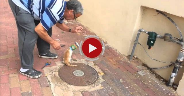 Rescuing A Cat Stuck In A Can
