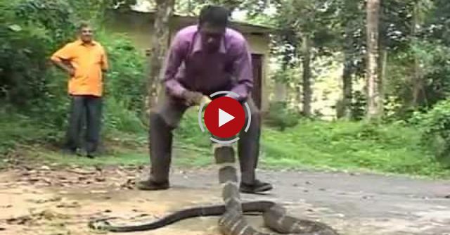 Vava Suresh Catching A King Cobra.