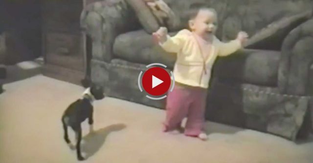 Baby's First Steps Interrupted By Pooping Dog 