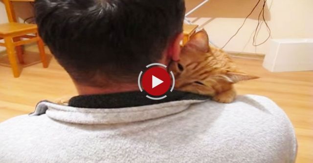Cat Gives Man The Most Heart-Melting Hug
