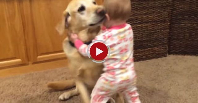 Cute Dogs And Adorable Babies: A Compilation
