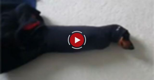 Cute Puppy Gets Stuck In A Sweater