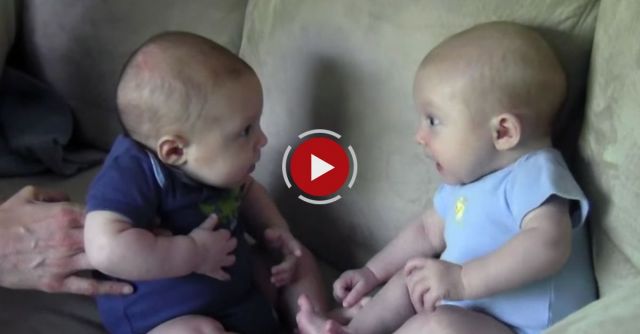 Twin Boys Finally Notice Each Other!