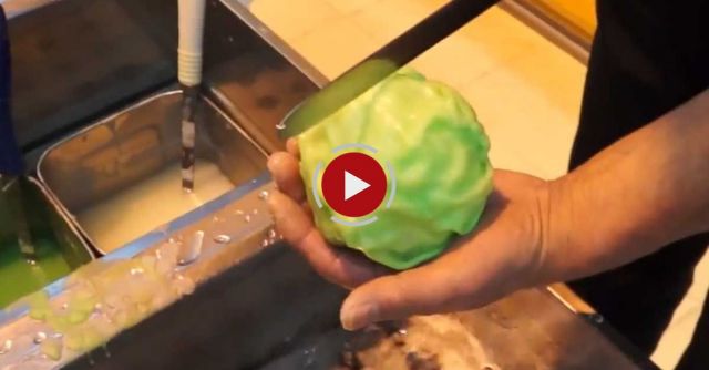 Making Japanese Food Samples